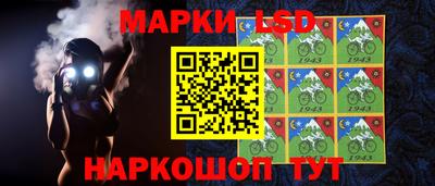 крисы Котовск