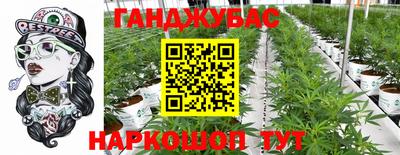 крисы Котовск