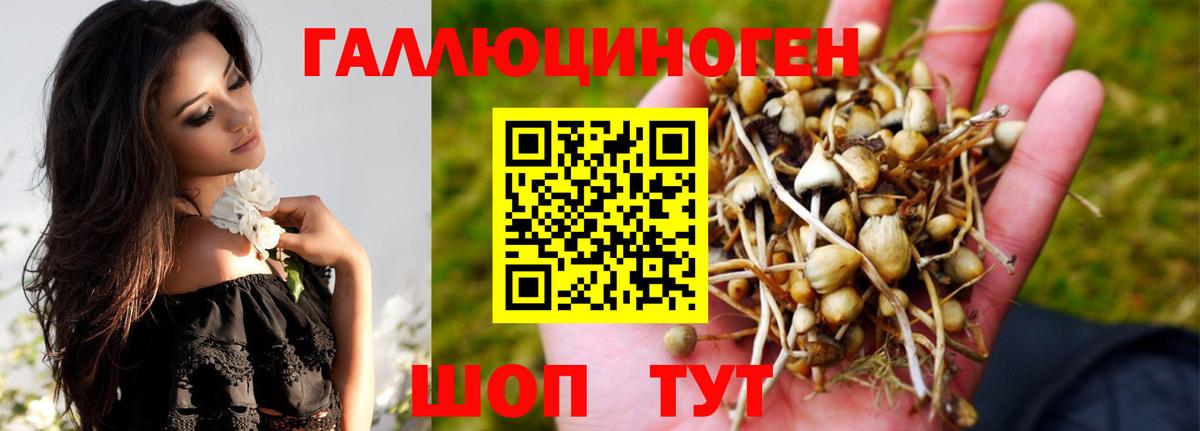 Псилоцибиновые грибы мицелий Гай